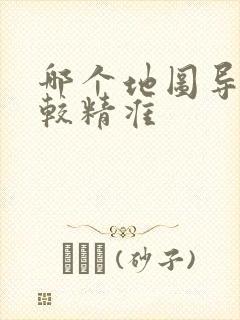 哪个地图导航比较精准