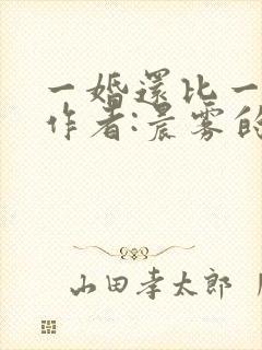一婚还比一婚高作者:晨雾的光