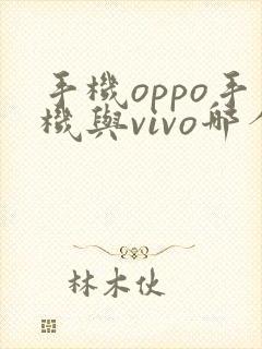 手机oppo手机与vivo哪个好