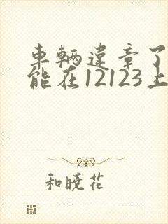 车辆违章了多久能在12123上查到