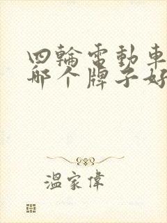 四轮电动车电机哪个牌子好