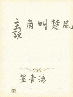 主角叫楚风的小说