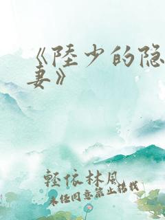 《陆少的隐婚罪妻》