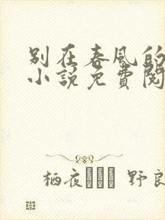 别在春风的小城小说免费阅读