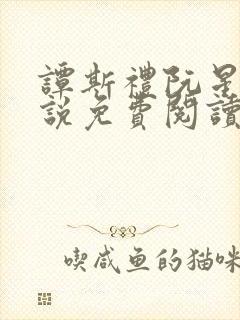 谭斯礼阮星眠小说免费阅读