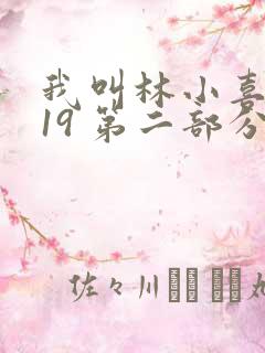 我叫林小喜今年19 第二部分