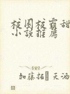 校园校霸甜宠文小说推荐