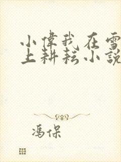 小伟我在雪姨身上耕耘小说免费阅读