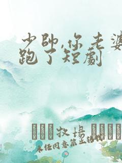 少帅,你老婆又跑了短剧