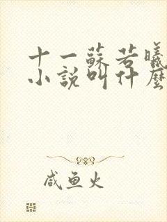 十一苏若曦原著小说叫什么名字