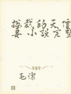 总裁的天价小娇妻 小说完整