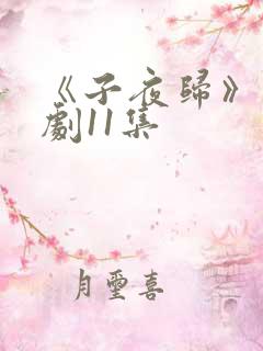 《子夜归》电视剧11集