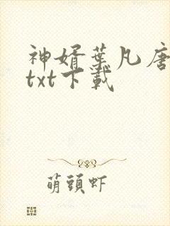 神婿叶凡唐若雪txt下载