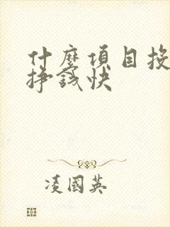 什么项目投资少挣钱快