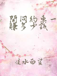 开网约车一月能赚多少钱