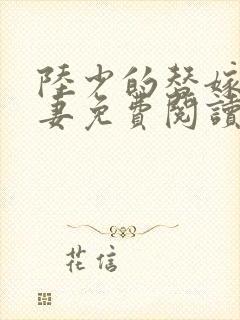 陆少的替嫁小娇妻免费阅读全文