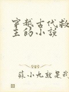 穿越古代救赎男主的小说