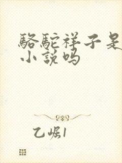 骆驼祥子是长篇小说吗