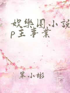 娱乐圈小说无cp主事业