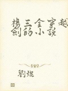 杨三金穿越到亮剑的小说