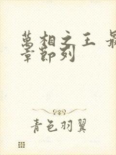 万相之王 最新章节列