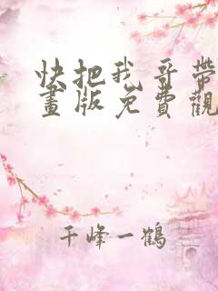 快把我哥带走动画版免费观看