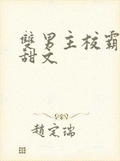 双男主校霸校园甜文