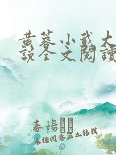 黄蓉小武大武小说全文阅读
