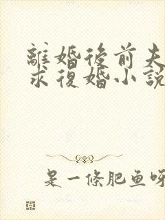 离婚后前夫哭着求复婚小说全文在线阅读