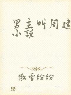 男主叫周建国的小说