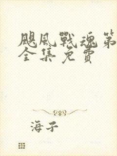 飓风战魂第二季全集免费