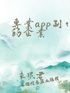 专业app制作的企业