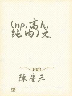 (np,高h,纯肉)文