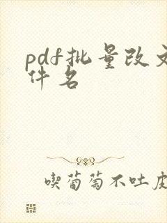 pdf批量改文件名