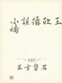 小说摄政王是病娇