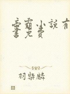 帝霸小说有声听书免费