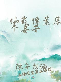 仙武传叶辰有几个妻子