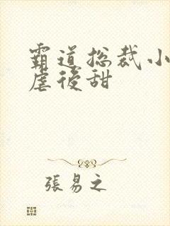 霸道总裁小说先虐后甜