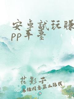 安卓试玩赚钱app平台