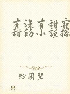 有没有甜宠文超甜的小说总裁文