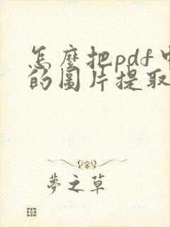 怎么把pdf中的图片提取出来