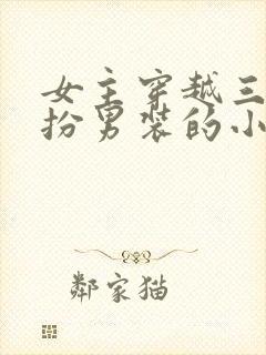 女主穿越三国女扮男装的小说