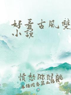 好看古风双男主小说