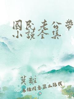 国民老公带回家小说全集