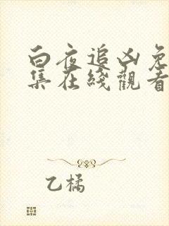 白夜追凶免费全集在线观看