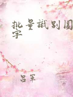 批量识别图中文字