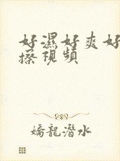 好湿好爽好想被擦视频