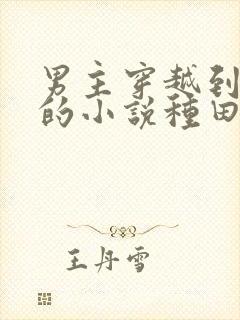 男主穿越到古代的小说种田文