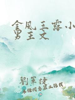 金风玉露小说双男主文