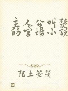 主人公叫楚东恒的官场小说